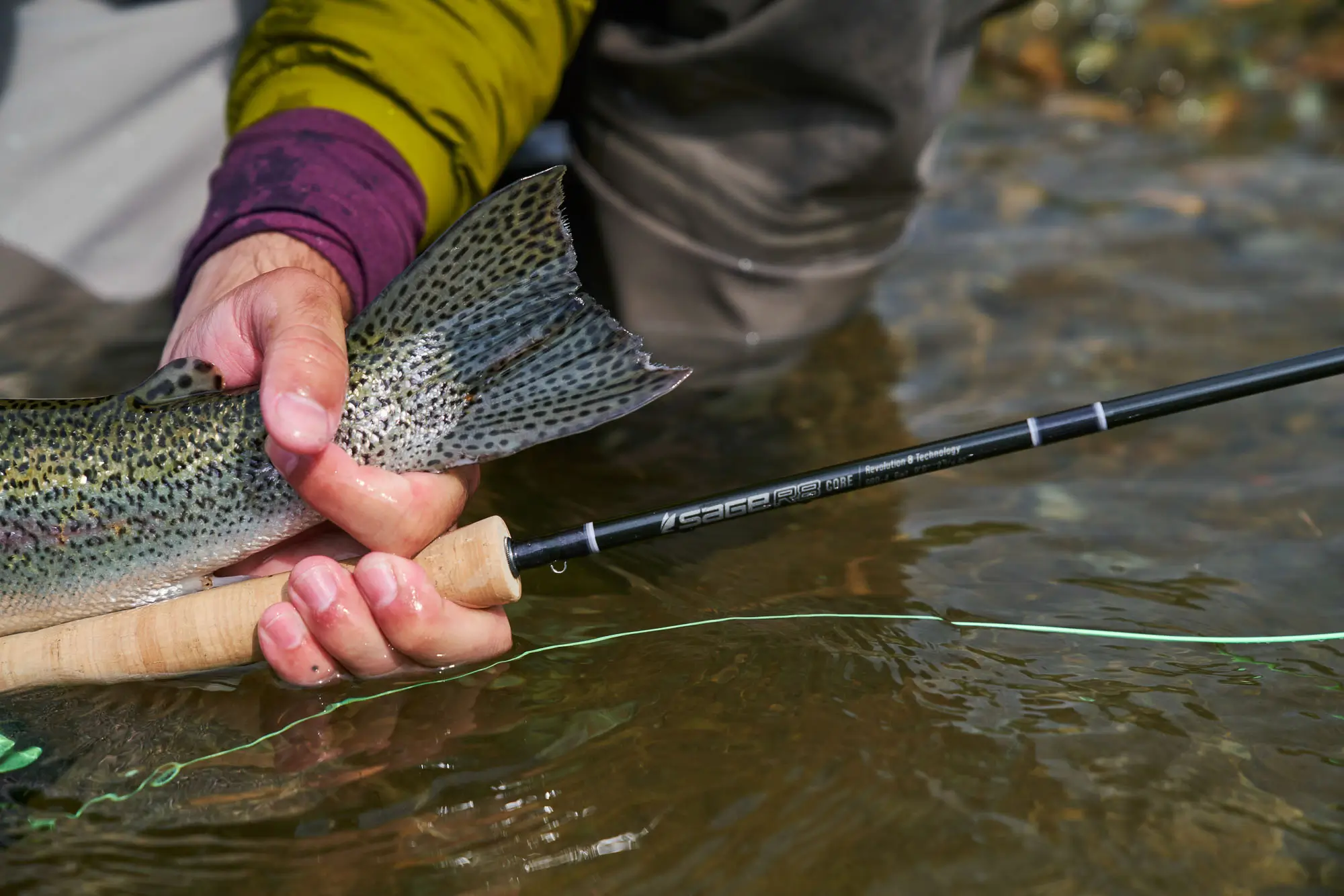 Sage R8 CORE 9-foot 5-weight Fly Rod
